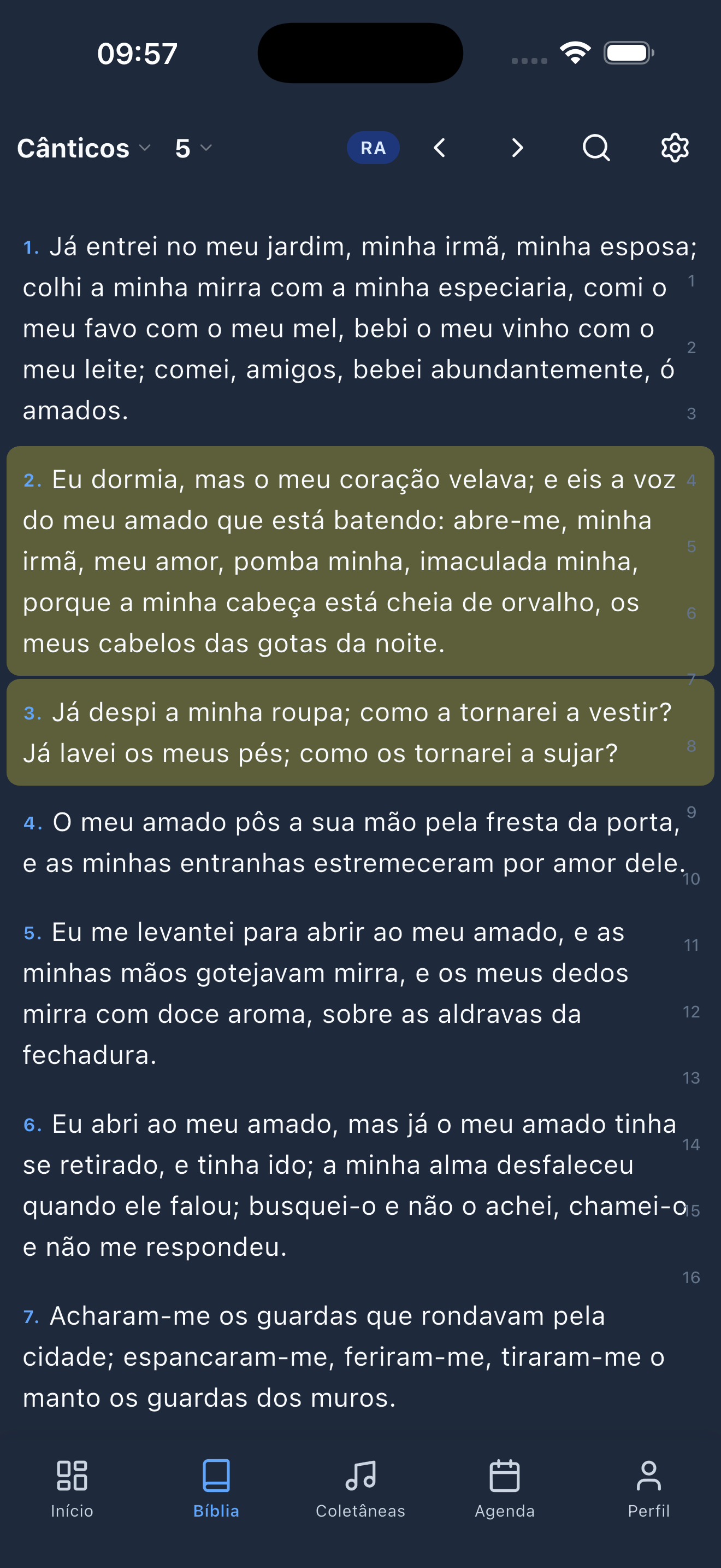 Print do app — Bíblia (escuro)